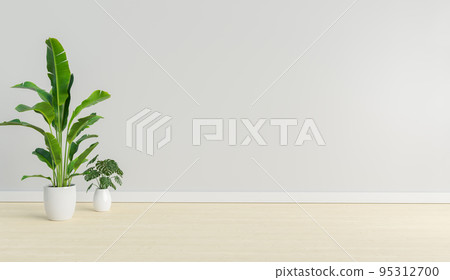 empty mock up room with plant 95312700