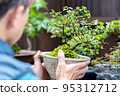 Middle-aged men appreciating potted plants 95312712