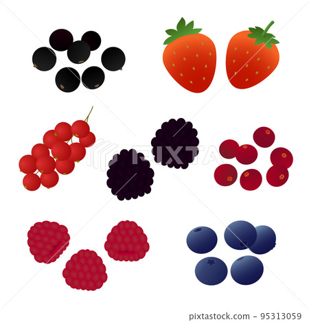 Vector illustration of berries (strawberries, raspberries, blueberries, etc.) Vector illustration of berries (strawberries, raspberries, blueberries, etc.) 95313059