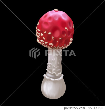 Watercolor red fly agaric. Realistic fly agaric mushroom. Poisonous mushroom 95313140