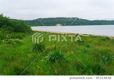 lake shore in cloudy weather, lake Lagunnoe on Kunashir island lake shore in cloudy weather, lake Lagunnoe on Kunashir island 95314636