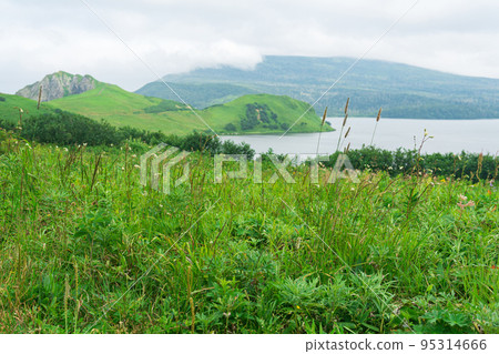 island landscape with a foggy lagoon and vegetation in the foreground island landscape with a foggy lagoon and vegetation in the foreground 95314666