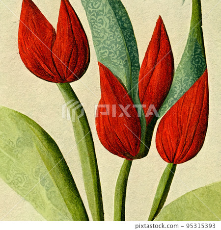 Watercolor red tulip flowers. 95315393