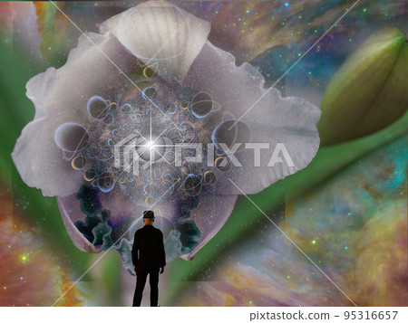 Surreal flower 95316657