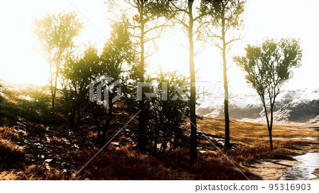 Scenic landscape with steep cliffs and trees during a sunny day Scenic landscape with steep cliffs and trees during a sunny day 95316903