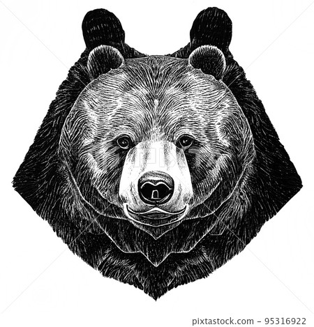 Portrait brown bear in the forest up close. Wildlife scene from spring nature. Wild animal in the natural habitat 95316922