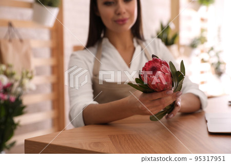 Florist with protea flower at table in store, closeup Florist with protea flower at table in store, closeup 95317951