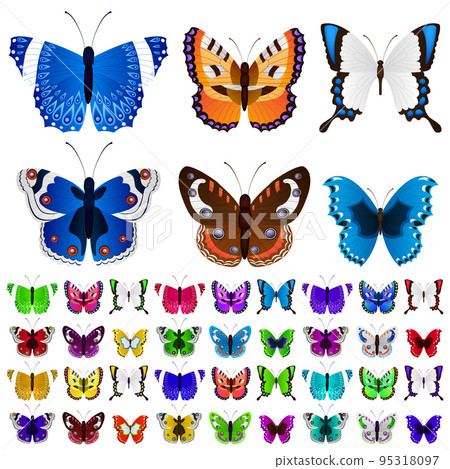 Set of colorful butterflies - Stock Illustration [95318097] - PIXTA