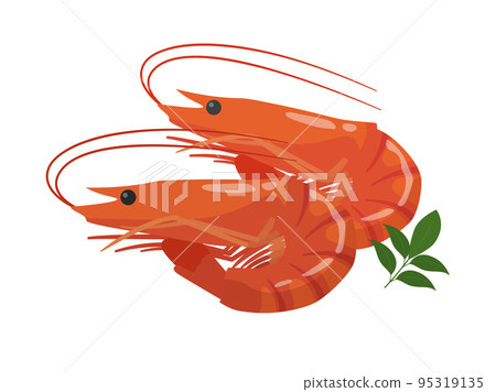 Shrimp 95319135