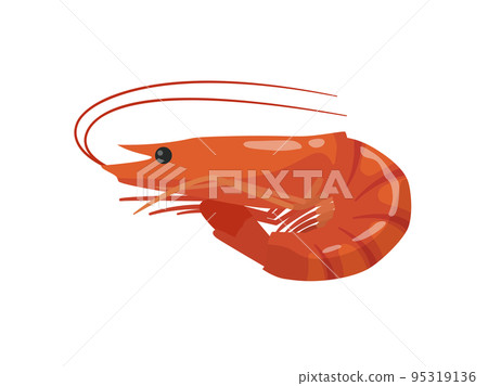 Shrimp 95319136