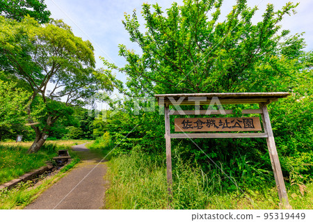 千葉縣佐倉市的佐倉城公園(佐倉城跡) 千葉縣佐倉市的佐倉城公園(佐倉城跡) 95319449