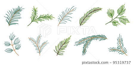 Fir branch variety shape evergreen plant flat set. Spruce fir pine larch cedar winter plant forest green needlewood holiday christmas design element greeting card banner line editable stroke isolated 95319737