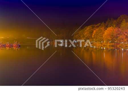 茶臼山高原的紅葉點燈（愛知縣） 95320243