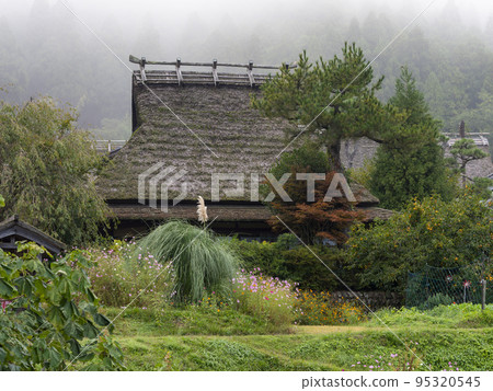 Miyama Kayabuki no Sato wrapped in morning mist 95320545