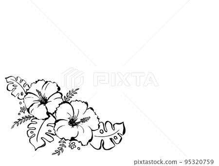 用墨水繪製的芙蓉圖 用墨水繪製的芙蓉圖 95320759