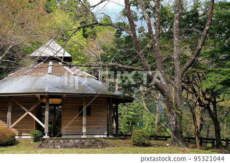 106年秋天淺墨櫻花村新地漫步(岐阜縣本棲市新) 106年秋天淺墨櫻花村新地漫步(岐阜縣本棲市新) 95321044