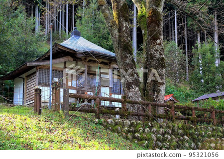 Walk around Neoji, the village of light ink cherry blossoms in autumn 118 (Motosu City, Gifu Prefecture) 95321056