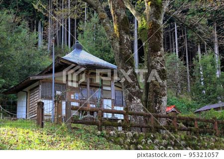 119秋季淺墨櫻花村新地漫步（岐阜縣本棲市） 95321057