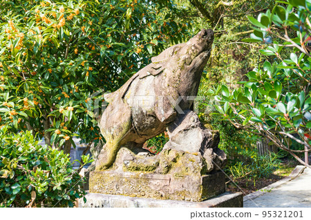 wild boar guardian dog 95321201