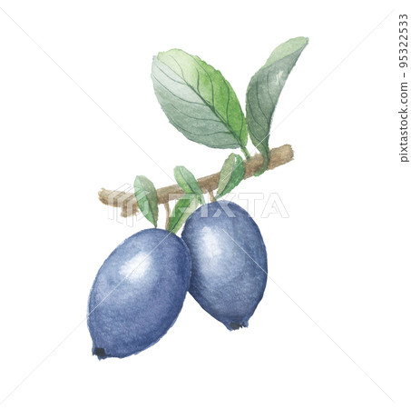 藍靛 藍靛 95322533