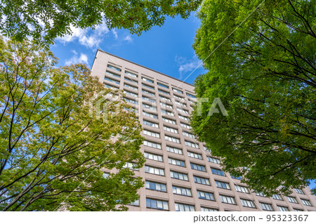 宮城縣廳 95323367