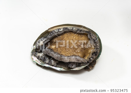 Abalone 95323475