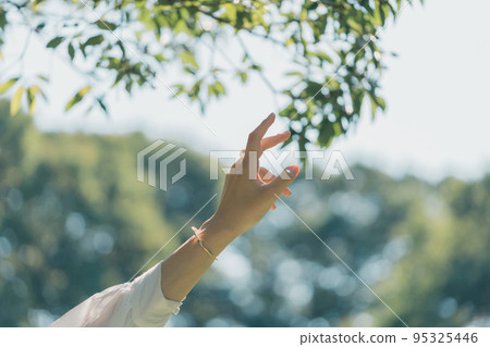 female, females, lady 95325446