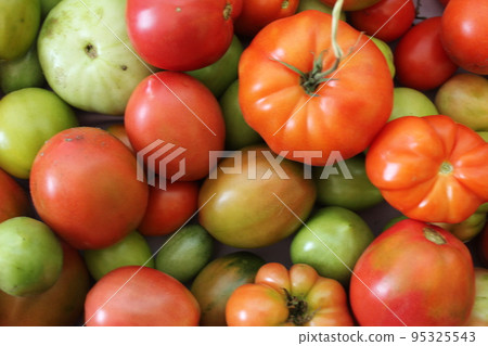 a background of tomatoes of red green orange close-up. Background food. Tomato season. seasonal vegetables. cultivation and storage of vegetables a background of tomatoes of red green orange close-up. Background food. Tomato season. seasonal vegetables. cultivation and storage of vegetables 95325543