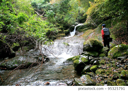 去比奇釣魚 95325791