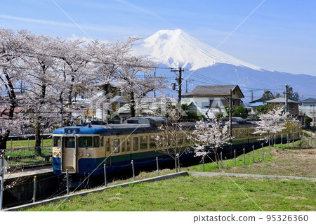 Cherry blossoms, Mt.Fuji and 115 series 300 ska color Fujikyuko Line Kotobuki 95326360