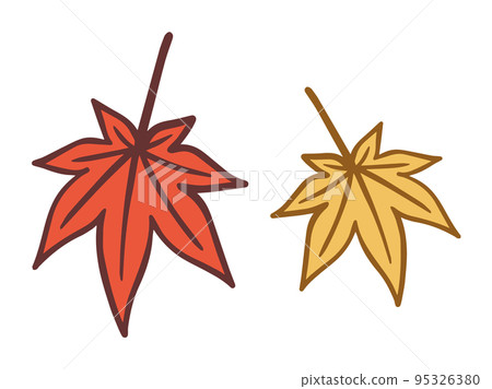 Two maple leaves, autumn leaves season, autumn tradition 95326380