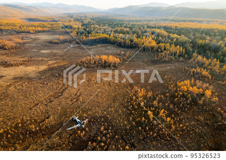 Abandoned wreck plane in a swamp surrounded by larches in Russia. 95326523