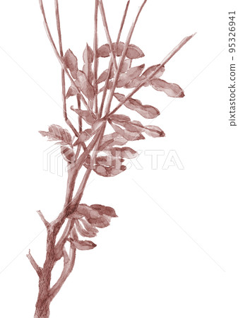 Brown toned illustration of fresh black soybeans painted by watercolor 95326941