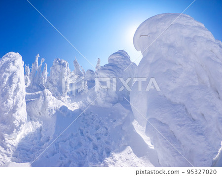 Frost-covered trees with the sun behind them (Zao Onsen Ski Resort, Yamagata Prefecture) 95327020