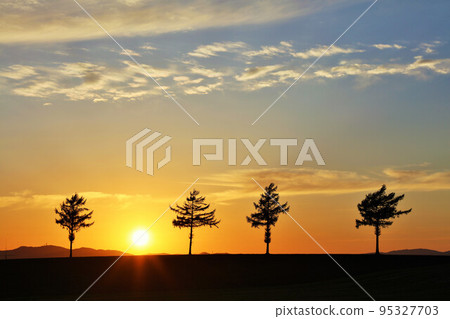 Hokkaido autumn sunset and fairy tale hill 95327703