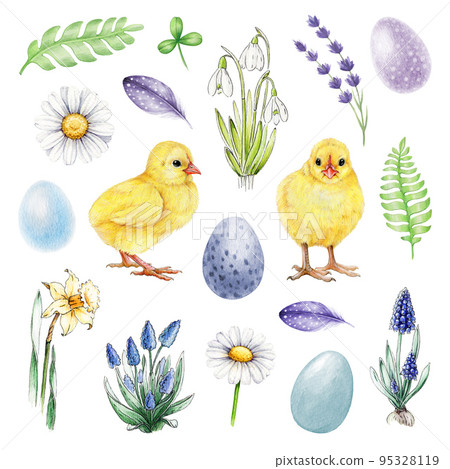 Springtime elements hand drawn watercolor set. Easter traditional element collection. Small cute yellow chicks, spring flowers, painted eggs, green grass isolated on white background Springtime elements hand drawn watercolor set. Easter traditional element collection. Small cute yellow chicks, spring flowers, painted eggs, green grass isolated on white background 95328119