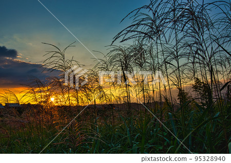 Suwa River Suwa River 95328940
