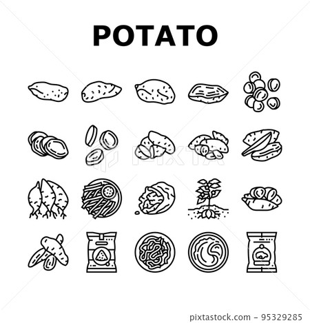potato sweet food yam orange icons set vector 95329285