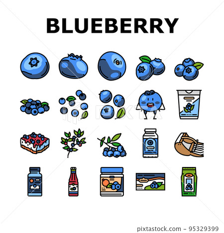 blueberry biberry blue berry icons set vector 95329399