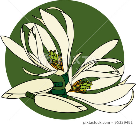Abstract of chempaka flower with blooming on green circle background 95329491