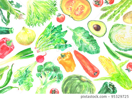 水彩畫的各種新鮮蔬菜的背景插圖 95329725