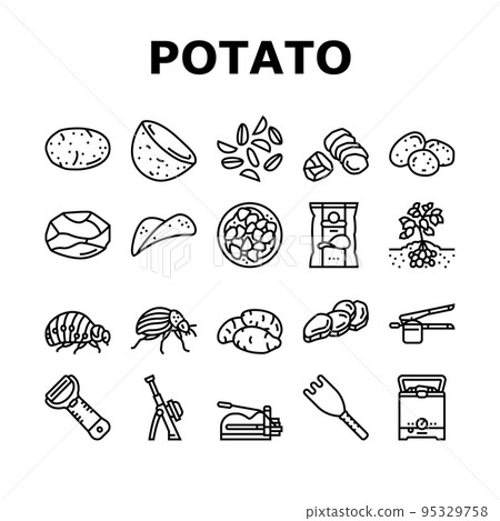 potato vegetable food raw fresh icons set vector 95329758