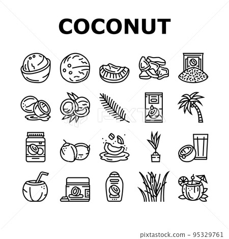 coconut coco fruit fresh white icons set vector 95329761