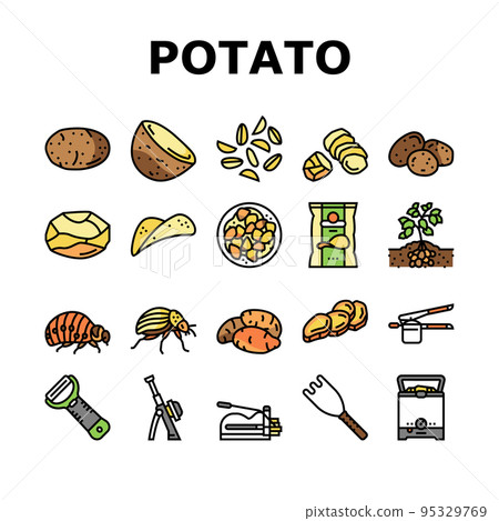 potato vegetable food raw fresh icons set vector potato vegetable food raw fresh icons set vector 95329769