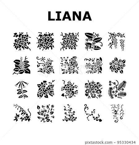 Vine Liana Exotic Growing Plant Icons Set Vector 95330434
