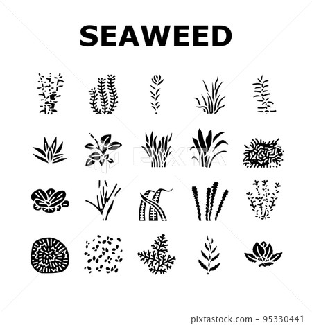 Aquatic Seaweed Natural Plant Icons Set Vector 95330441