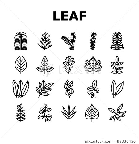 Leaf Of Tree, Bush Or Flower Icons Set Vector 95330456