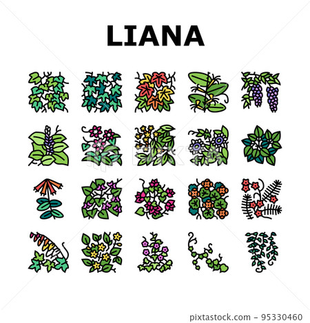 Vine Liana Exotic Growing Plant Icons Set Vector 95330460