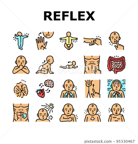 Reflex Of Human Neurology System Icons Set Vector 95330467