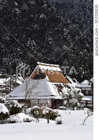 Snowscape Kayabuki no Sato Miyama 95330830